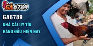 Tổng quan thông tin cơ bản về link vào GA6789 