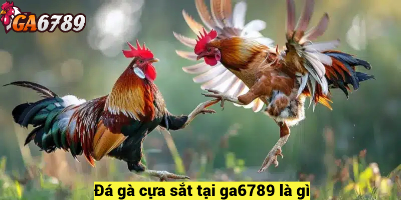 Đá gà cựa sắt tại ga6789 là gì?