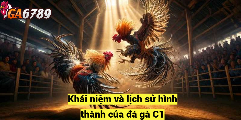 Khái niệm và lịch sử hình thành của đá gà C1