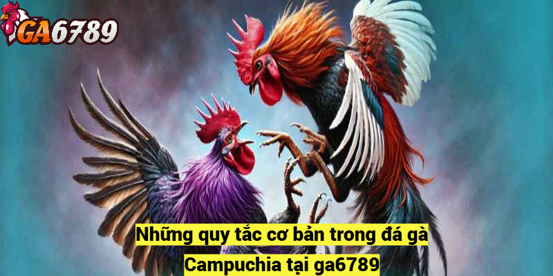 Những quy tắc cơ bản trong đá gà Campuchia tại ga6789