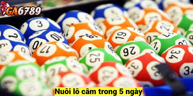 Nuôi lô câm trong 5 ngày – Lô câm là gì?